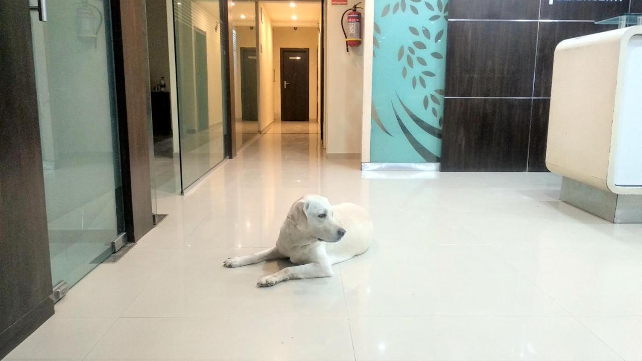Hotel Sai Srushti By Neem Square Shirdi Esterno foto